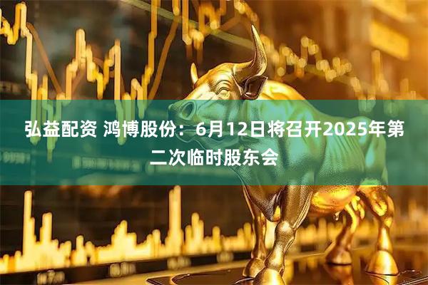 弘益配资 鸿博股份：6月12日将召开2025年第二次临时股东会