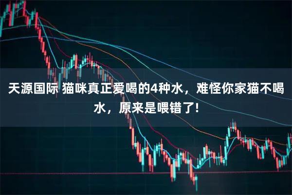 天源国际 猫咪真正爱喝的4种水，难怪你家猫不喝水，原来是喂错了!