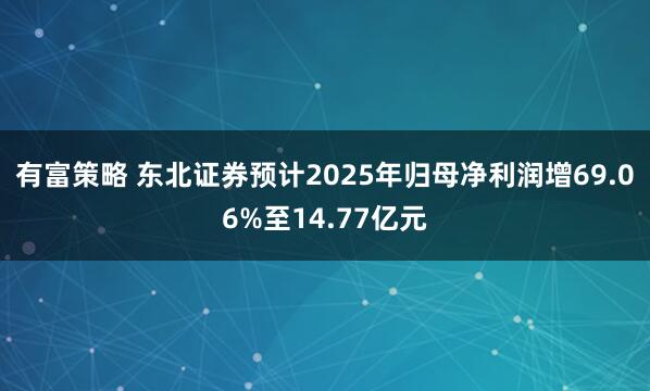 有富策略 东北证券预计2025年归母净利润增69.06%至14.77亿元